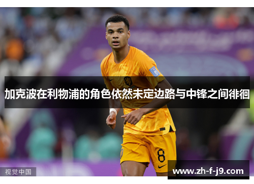 加克波在利物浦的角色依然未定边路与中锋之间徘徊